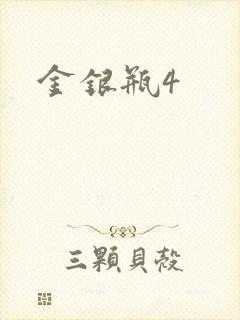 金银瓶4封面