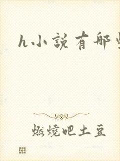 h小说有哪些