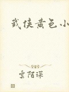 武侠黄色小说封面