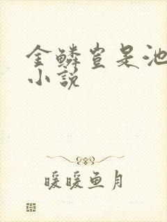 金鳞岂是池中物小说封面