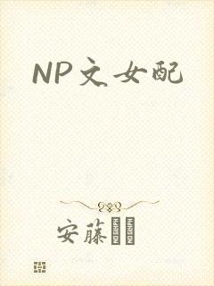 NP文女配