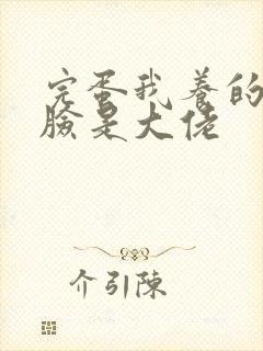 完蛋我养的小白脸是大佬