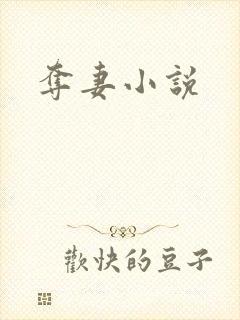 夺妻小说
