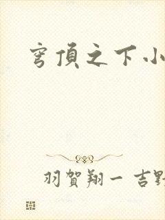 穹顶之下小说