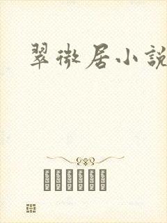 翠微居小说封面