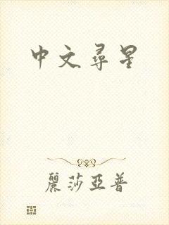 中文寻星封面