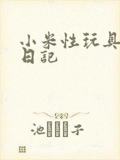 小米性玩具羞辱日记封面