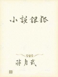 小说银狐
