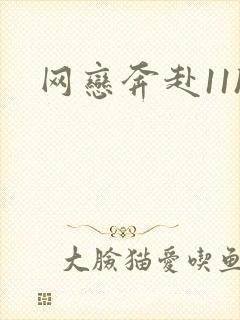 网恋奔赴11h
