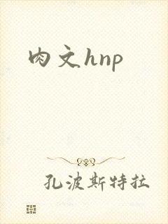 肉文hnp