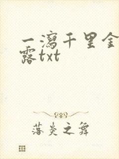 一泻千里金银花露txt封面