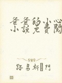 爸爸的小心肝儿小说免费阅读