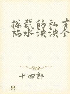 总裁的私有宝贝祸水泱泱全文阅读