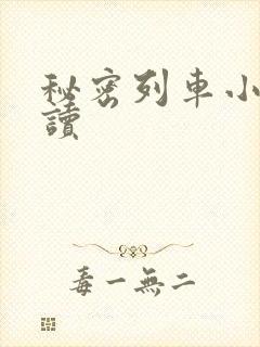 秘密列车小说阅读