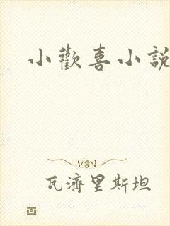小欢喜小说封面