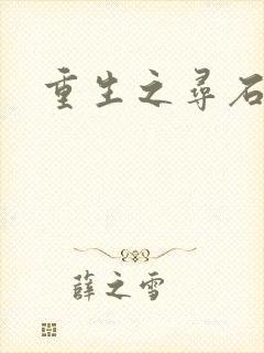 重生之寻石者