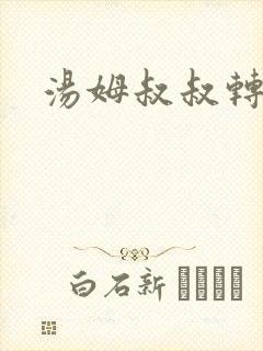 汤姆叔叔转接口