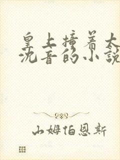 皇上撞着太子妃沈音的小说叫什么