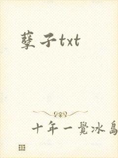 孽子txt封面