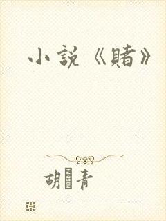 小说《赌》封面