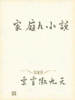 家庭h小说封面