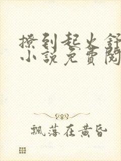 撩到起火舒漾的小说免费阅读全文