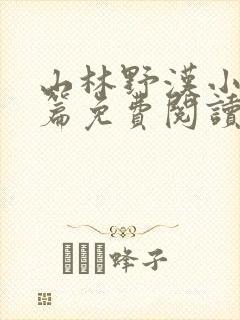 山林野汉小说全篇免费阅读封面
