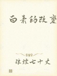 白素的改变封面