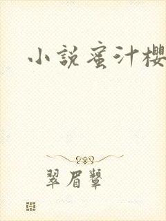 小说蜜汁樱桃