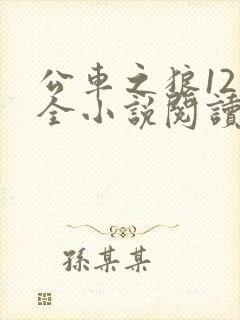 公车之狼12集全小说阅读