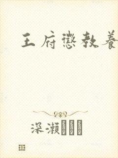 王府惩教养日常