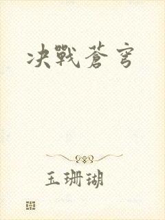 决战苍穹封面