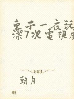 东子一夜玩弄白洁7次电视剧封面
