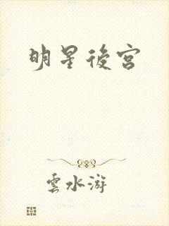明星后宫