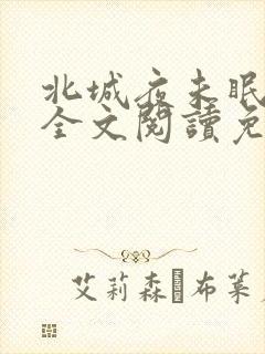 北城夜未眠小说全文阅读免费