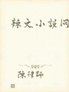 辣文小说网