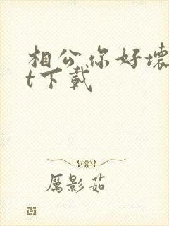 相公你好坏txt下载封面