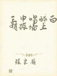 王申喝醉白洁被赵振墙上