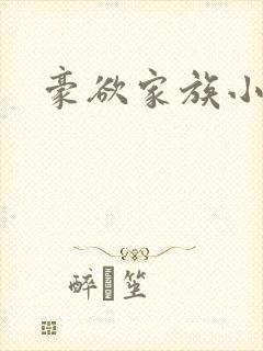 豪欲家族小说