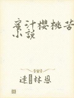 蜜汁樱桃苦咖啡小说封面