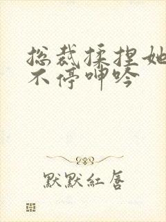 总裁揉捏她两乳不停呻吟