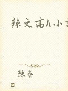 辣文高h小说封面