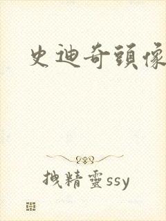 史迪奇头像