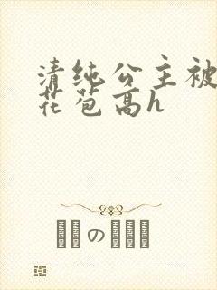 清纯公主被迫开花苞高h封面