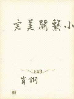 完美关系小说