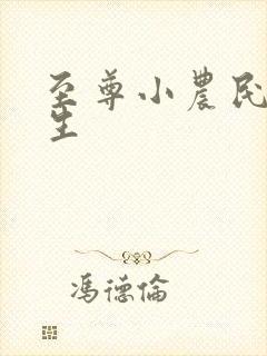 至尊小农民王木生封面