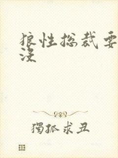 狼性总裁要够了没