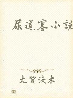 尿道塞小说