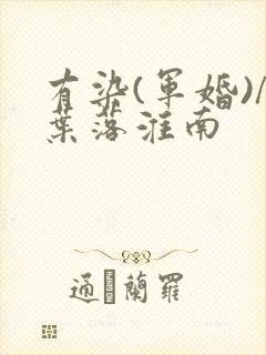 有染(军婚)/叶落淮南