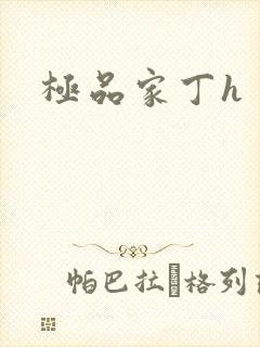 极品家丁h